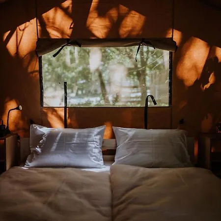 Sioglamping In Siocamping Siófok