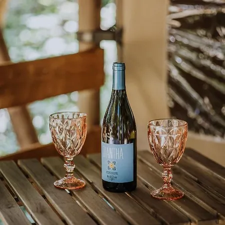 Sioglamping In Siocamping Campsite